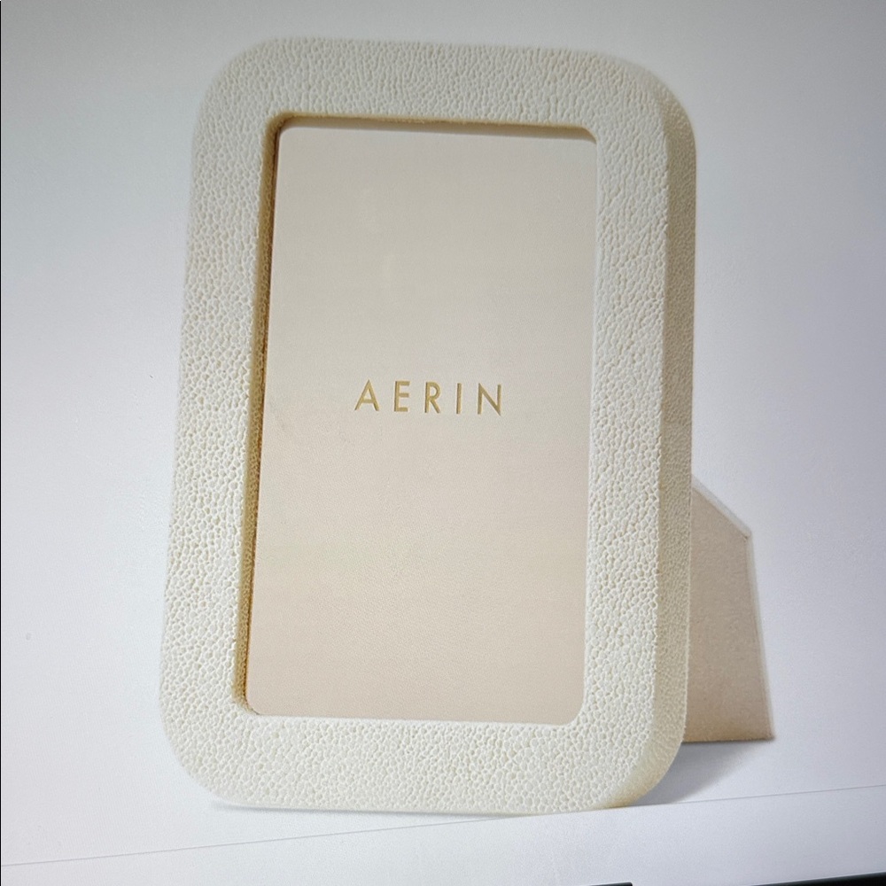 Aerin Modern Shagreen Frame